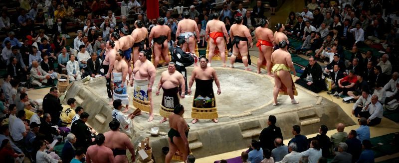 sumo strategy